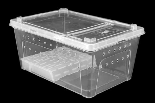 Happet Zuchtbox BREEDING BOX mit Plattform 32 cm - Zuchtterrarium mit Belüftung und Deckel, geeignet für Insekten, Spinnentiere, kleine Reptilien und Amphibien Happet Zuchtbox BREEDING BOX mit Plattform 32 cm - Zuchtterrarium mit Belüftung und Deckel, geeignet für Insekten, Spinnentiere, kleine Reptilien und Amphibien von Happet