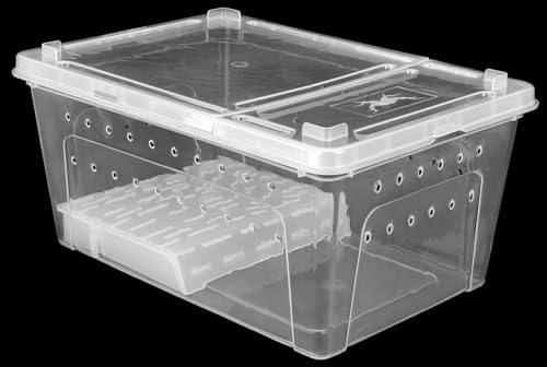 Happet Zuchtbox BREEDING BOX mit Plattform 38 cm - großer Kunststoffbehälter mit Belüftung und Deckel, ideal für Insekten, Spinnentiere und kleine Reptilien Happet Zuchtbox BREEDING BOX mit Plattform 38 cm - großer Kunststoffbehälter mit Belüftung und Deckel, ideal für Insekten, Spinnentiere und kleine Reptilien von Happet