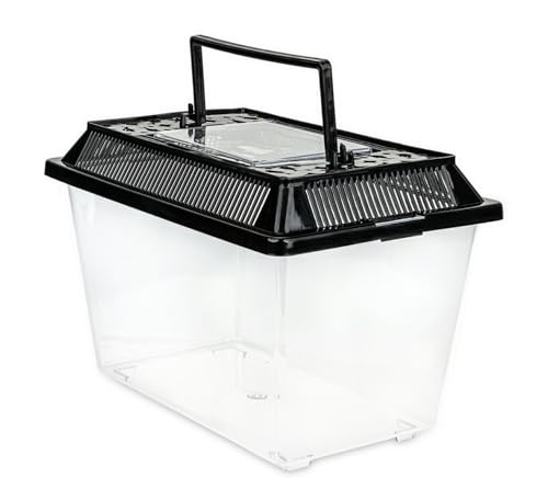 Happet Zuchtbox Terra Box Light 22×14×15cm - transparent mit Belüftung und Griff | Transporter und Faunarium für Reptilien, Amphibien, Insekten, Spinnentiere, Nagetiere von Happet