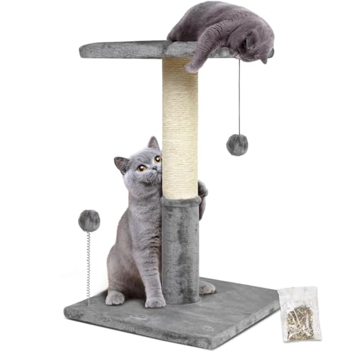 Happi N Pets 66CM Katzenkratzbaum, natürliche Sisal-Kratzbäume für Hauskatzen, Katzenbaum mit Plattform aus Plüsch 30 * 30 cm und Katzenspielzeugball, stabile Katzenkratzbäume für Kätzchen-Hellgrau Happi N Pets 66CM Katzenkratzbaum, natürliche Sisal-Kratzbäume für Hauskatzen, Katzenbaum mit Plattform aus Plüsch 30 * 30 cm und Katzenspielzeugball, stabile Katzenkratzbäume für Kätzchen-Hellgrau von Happi N Pets
