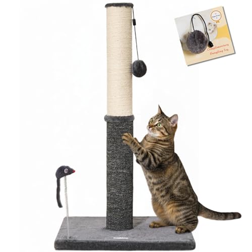 Happi N Pets 74,9 cm hoher Katzenkratzbaum, Katzenkratzbaum für Indoor-Katzen, Sisal-Kratzbaum & Teppichpfosten in einem, stabiler Katzenkratzbaum mit zwei Spielzeugen, extra kostenloses Spielzeug von Happi N Pets