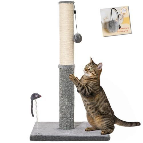 Happi N Pets 74,9 cm hoher Katzenkratzbaum, Katzenkratzer für Indoor-Katzen, Sisal-Kratzbaum & Teppichpfosten in einem, stabiler Katzenkratzbaum mit zwei Spielzeugen, extra kostenloses Spielzeug von Happi N Pets