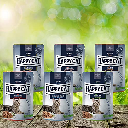 NEU* Vorteilspaket - Mixpaket Happy Cat Variation Nassfutter - Meat in Sauce Culinary 24 x 85 g - Viele leckere Sorten für Abwechslung im Napf von Happy Cat