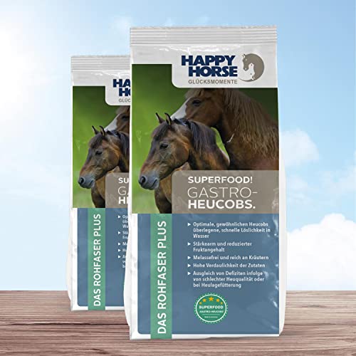 HAPPY HORSE Gastro Heucobs 2 x 14kg - super schneller Einweichzeit - Ideal als Alternative oder zur Aufwertung des Grundfutters - Melassefrei, Stärkearm und reich an Kräutern von Happy Horse