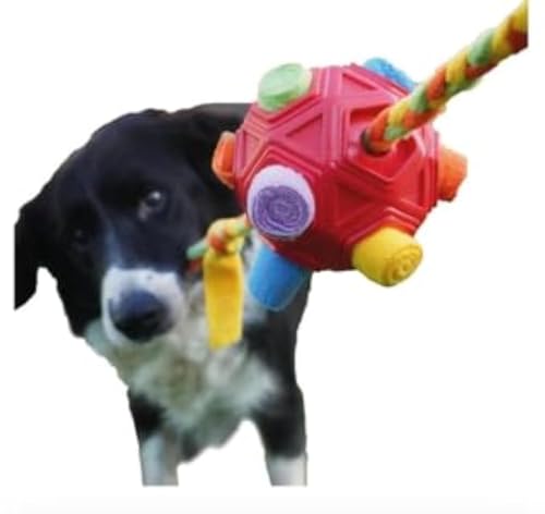 Happy Pets Shop Smart Dog Puzzle Spielzeug, Interaktives Hundespielzeug Beschäftigung Geschenk, mit Leckerli-Spender, Einstellbare Schwierigkeitsstufen für IQ-Training, Langlebig und Sicher für Hunde Happy Pets Shop Smart Dog Puzzle Spielzeug, Interaktives Hundespielzeug Beschäftigung Geschenk, mit Leckerli-Spender, Einstellbare Schwierigkeitsstufen für IQ-Training, Langlebig und Sicher für Hunde von Happy Pets Shop