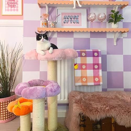 Happy & Polly Kratzbaum mit Sisal-Kratzstämmen, 68,1 cm, luxuriös, gemütliches Haus, für den Innenbereich, strapazierfähig, für Katzen, mehrstufige Spielaktivitäten, Plattform, hohe Sitzstange von Happy & Polly