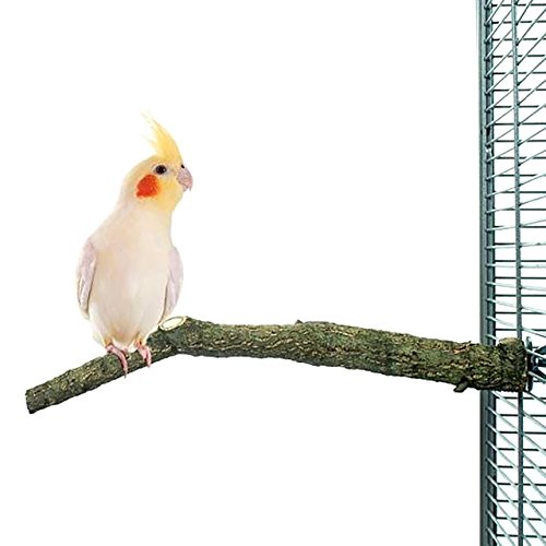 HappyBird | Natur Kork Vogel-Sitzstange - Small zum Sitzen, Anknabbern, Knuspern aus Natur Kork von HappyBird