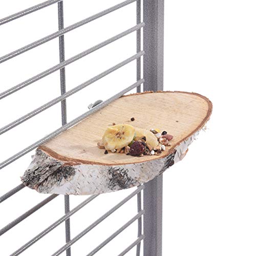 HappyBird | Sitzbrettchen Birkenscheibe Baumscheibe oval ca. 23-28 x 3cm von HappyBird