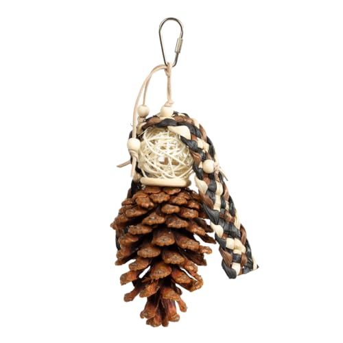 HappyBird | Cones Charm - natürliches Vogelspielzeug mit Kiefernzapfen für kleine Papageien und Sittiche | ca. 27 x 11 x 11 cm HappyBird | Cones Charm - natürliches Vogelspielzeug mit Kiefernzapfen für kleine Papageien und Sittiche | ca. 27 x 11 x 11 cm von HappyBird