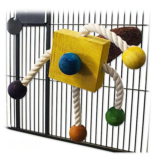 HappyBird | Holzsitzstange Rio Hanging Around - ca. 29 x 29 x 34 cm HappyBird | Holzsitzstange Rio Hanging Around - ca. 29 x 29 x 34 cm von HappyBird