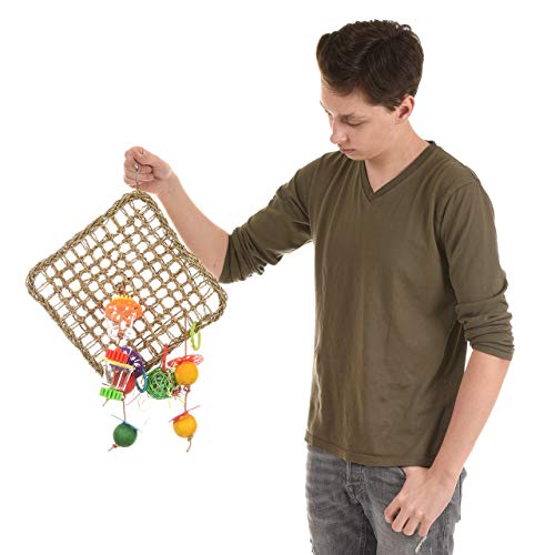 HappyBird | Kletternetz ca. 37x37cm für Sittiche & Papageien, Foraging Toy, Vogelnetz de Luxe von HappyBird