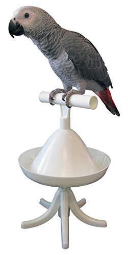 HappyBird | Safety Perch - Der Freisitz für alle Papageien mit vielen Möglichkeiten von HappyBird