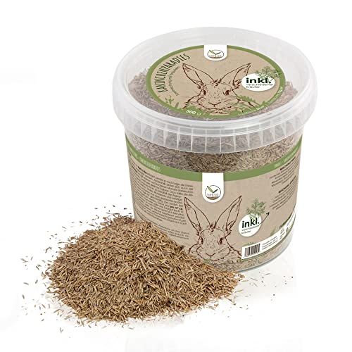 HappySeed 500g Kaninchenwiese Samen - Kleintierwiese Saatgut für die ganzjährige Anzucht von frischem Zusatzfutter für Kaninchen und andere Kleintiere von HappySeed