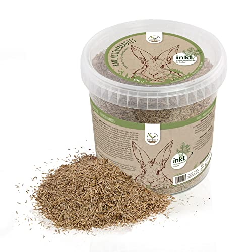 500g Kaninchenwiese Samen - Kleintierwiese Saatgut für die ganzjährige Anzucht von frischem Zusatzfutter für Kaninchen und andere Kleintiere 500g Kaninchenwiese Samen - Kleintierwiese Saatgut für die ganzjährige Anzucht von frischem Zusatzfutter für Kaninchen und andere Kleintiere von HappySeed