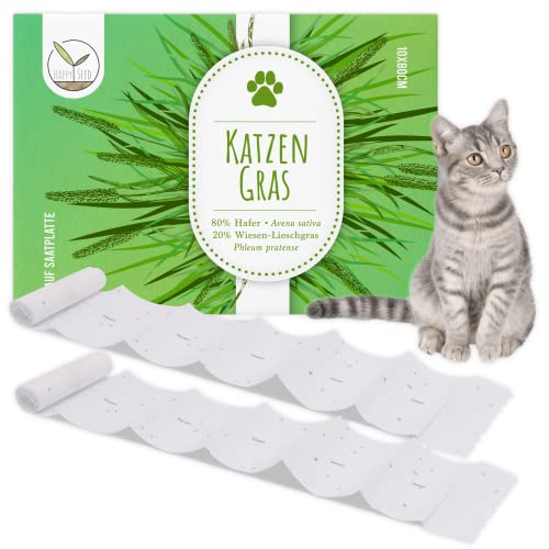 HappySeed Katzengras Samen Saatband 80 x 10 cm - Verdauungsförderndes Katzengras ganzjährig für alle Katzen geeignet von HappySeed