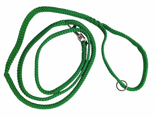Hundeleine, Standardleine mit Rundring in der Handschlaufe, aus einfarbigen 8mm PPM Flechtsein in DREI Längen (grün, 2m) von Happymitvierpfoten.de