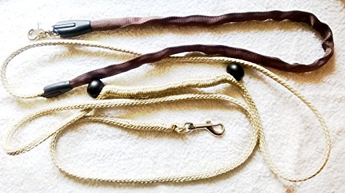 Hundeleine, Standardleine mit Rundring in der Handschlaufe, aus einfarbigen 8mm PPM Flechtsein in DREI Längen (neon orange, 1,5m) von Happymitvierpfoten.de