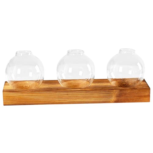1 Satz Hydrokulturbehälter mit DREI Anschlüssen Gartendekoration Pflanzenständer Indoor hoch bürodekoration schreibtischdeko Desktop-Pflanzenterrarium Hydrokultur-Pflanzenvase Glas Happyyami 1 Satz Hydrokulturbehälter mit DREI Anschlüssen Gartendekoration Pflanzenständer Indoor hoch bürodekoration schreibtischdeko Desktop-Pflanzenterrarium Hydrokultur-Pflanzenvase Glas Happyyami von Happyyami