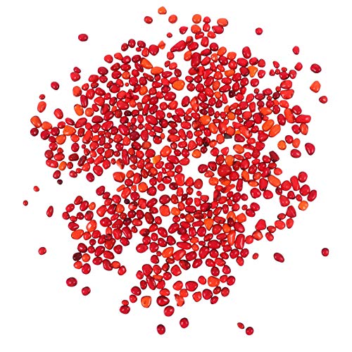 Happyyami 1 Packung Aquarium Stein Netz Blasenstein Für Aquarium Fischzubehör Aquariumdekorationen Ausströmersteine für Aquarien Bausatz Erbse Schwamm Fischluftstein Anlage Panzer Rot Glas Happyyami 1 Packung Aquarium Stein Netz Blasenstein Für Aquarium Fischzubehör Aquariumdekorationen Ausströmersteine für Aquarien Bausatz Erbse Schwamm Fischluftstein Anlage Panzer Rot Glas von Happyyami
