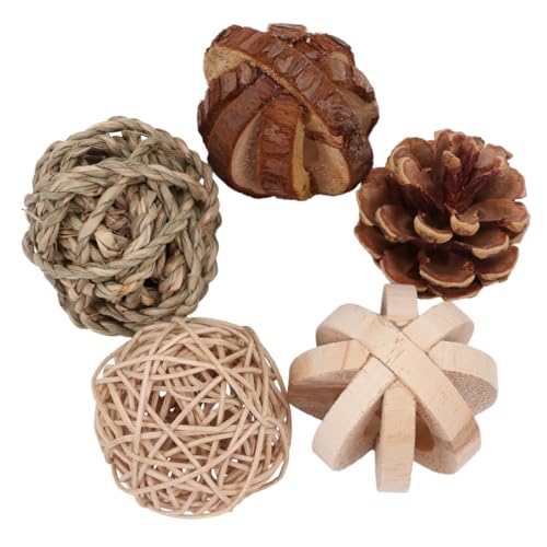 Happyyami Lustiges Hamster-zähneknirschen-Spielzeug-Set 5-teilig Naturholzspielzeug Für Das Training Von Haustieren von Happyyami