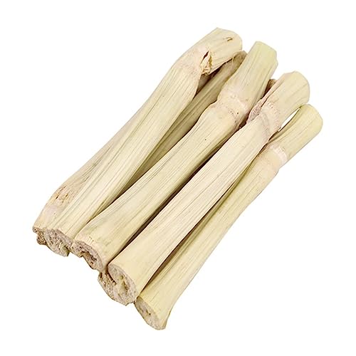 Happyyami Natürliche Haustier Kauen Spielzeug Holz-schleifstab Zähneknirschen-Spielzeug Kauspielzeug Für Meerschweinchen Chinchillas Hamster Und Andere Kleintiere Happyyami Natürliche Haustier Kauen Spielzeug Holz-schleifstab Zähneknirschen-Spielzeug Kauspielzeug Für Meerschweinchen Chinchillas Hamster Und Andere Kleintiere von Happyyami