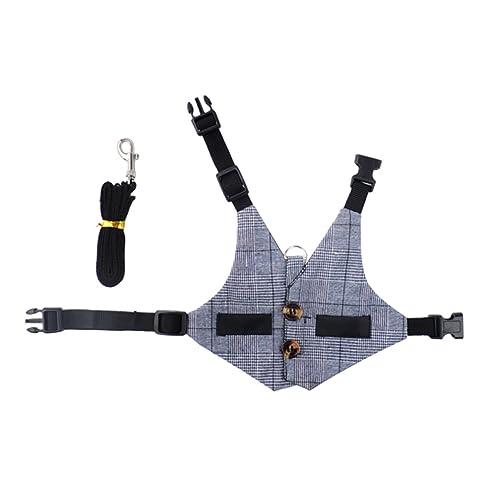 Happyyami 1 Satz Hasenkleidung Kleidung Für Haustierhäschen Hasengeschirr Dekorative Kaninchenkleidung Hundegeschirr Haustierkleidung Guinea Kleidung Frettchen Leine Grey Baumwolle von Happyyami