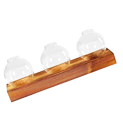Happyyami 1 Satz Hydrokulturbehälter Mit DREI Anschlüssen Dekoration Pflanze Steht Innen Pflanzen Hydroponisches Anbausystem Töpfe Im Freien Groß Anlage Vase Hydroponisches Terrarium Hölzern von Happyyami