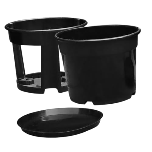 Happyyami 1 Satz Pflanztopf Saftige Töpfe Tomaten Töpfe Kartoffel Gemüsetopf Taschen Wachsen Gartentasche Pflanzentöpfe Groß Tomatenpflanzer Pflanztöpfe Mit Belüftung Sämling Black Plastik Happyyami 1 Satz Pflanztopf Saftige Töpfe Tomaten Töpfe Kartoffel Gemüsetopf Taschen Wachsen Gartentasche Pflanzentöpfe Groß Tomatenpflanzer Pflanztöpfe Mit Belüftung Sämling Black Plastik von Happyyami