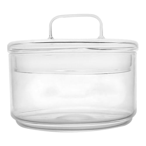 Happyyami Glasterrarium Mit Deckel Leeren Terrarium Mikrolandschaftsflasche Ökologische Moosflasche DIY Pflanzen Behälter Terrarien Behälter Ökologische Flasche Landschafts Dekorative von Happyyami