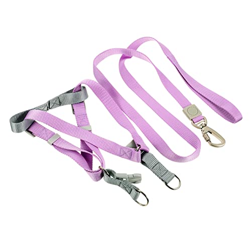 Happyyami 1satz Hundegeschirr Und Set Für Kleine Hunde Verstellbares Leichtes Und Kompaktes Hundegeschirr Mit Doppelt Für Outdoor-aktivitäten Und Training von Happyyami