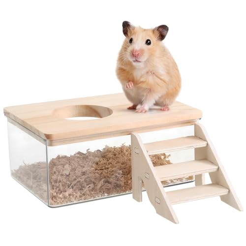 Happyyami 1 Set Hamster Bades Behälter Hamster Substrat Behälter Rennmäuse Sandstaub Bad Box Chinchilla Chinchilla Bad Mit Leiter Happyyami 1 Set Hamster Bades Behälter Hamster Substrat Behälter Rennmäuse Sandstaub Bad Box Chinchilla Chinchilla Bad Mit Leiter von Happyyami