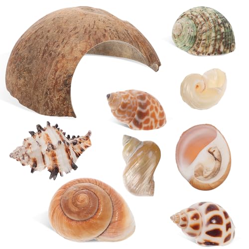 Happyyami Krabbenmuschel-versteck Reptilien-versteck Lebensraum Fisch-versteck Höhle Meeresmuschel- Aquarium-Muschel-Set von Happyyami