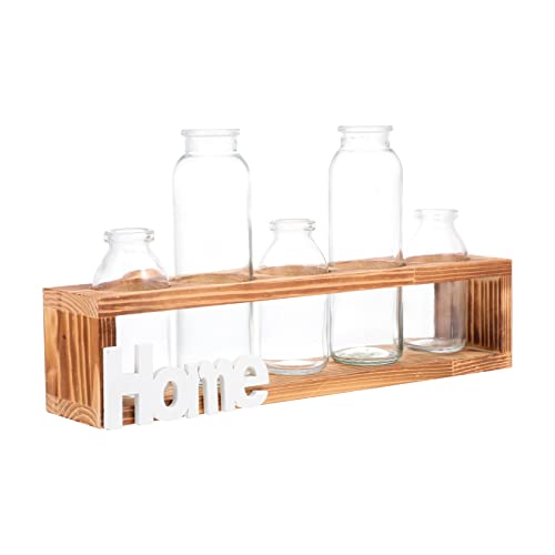 Happyyami 1 Set Hydrokultur Glasflasche Ornament Blumentöpfe Innendekoration Retro Zimmerpflanze Blumenzwiebelvasen Sukkulenten Pflanzgefäße Esszimmer Tischdekoration von Happyyami