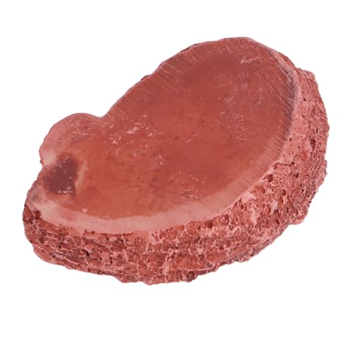 Happyyami 1stück Imitation Bark Reptilien Futter Und Wasserschale Aus Harz Dunkelrot Für Echsen Spinnen Und Andere Kleine Tiere Sicher Und rutschfest Für Terrarien Und Aquarien Happyyami 1stück Imitation Bark Reptilien Futter Und Wasserschale Aus Harz Dunkelrot Für Echsen Spinnen Und Andere Kleine Tiere Sicher Und rutschfest Für Terrarien Und Aquarien von Happyyami