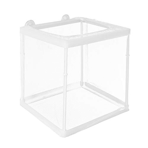 Happyyami Aquarien-zuchtbox Für Fische Fischzuchtbecken Aus Netz Und Klebematerial Isolationsbox Für Kleine Trächtige Und Neugeborene Fische Brutkasten Zum Schützen Vor Aggressiven Happyyami Aquarien-zuchtbox Für Fische Fischzuchtbecken Aus Netz Und Klebematerial Isolationsbox Für Kleine Trächtige Und Neugeborene Fische Brutkasten Zum Schützen Vor Aggressiven von Happyyami