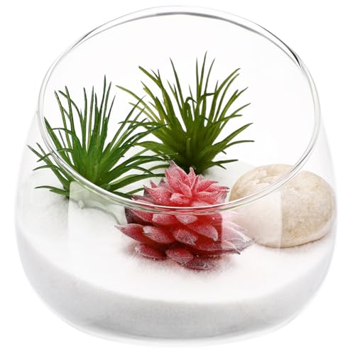 Happyyami 1 Stück Moos Micro Landscape Flasche Terrarienglas Erwachsene Schiff drinnen Anlage Pflanzen Mikro-Landschaftsglasflasche kreative Landschaftsflasche Transparent von Happyyami