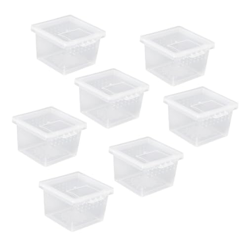 Happyyami 10stücke Teiliges Mini Reptilien Futter Und Quarantänebox Für Spinnen Echsen Schildkröten Und Frösche Mit Atmungsaktiven Löchern Füttern Happyyami 10stücke Teiliges Mini Reptilien Futter Und Quarantänebox Für Spinnen Echsen Schildkröten Und Frösche Mit Atmungsaktiven Löchern Füttern von Happyyami