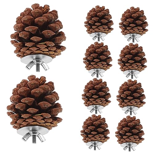 Happyyami Papagei Beißspielzeug 10 Stück Vogel Kauspielzeug Kiefernzapfen Sicherer Spaß Für Ziervögel von Happyyami