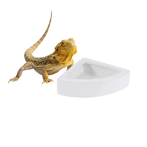 Happyyami Futterbehälter Keramik Eidechsen-futternapf Escape Feeder Auslaufsicheres Becken Sicher Für Reptilien von Happyyami