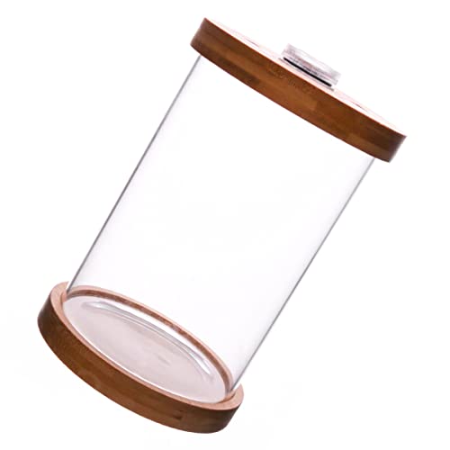 Happyyami 1pc Dekorative Glas Fisch Schüssel Licht Mini Aquarium Basis Und Deckel Dicht Fisch Tank Happyyami 1pc Dekorative Glas Fisch Schüssel Licht Mini Aquarium Basis Und Deckel Dicht Fisch Tank von Happyyami