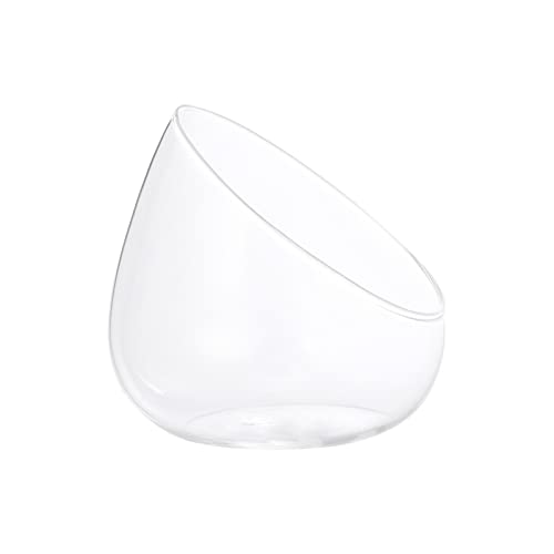 Happyyami 1stk Glasschalenvasen Für Glasterrarien Für Terrarienschalen Für Pflanzen Runde Blumenvase Ökologisches Flaschendekor Blaue Schale Glas Terrarium Ornamente Grit Runden Die Blumen von Happyyami