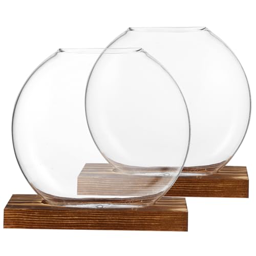 Happyyami 2sätze Vermehrungsterrarien Glasvasen Klare Glasvase Hängende Pflanzgefäße Tischvase Aus Glas Kleine Terrarienpflanzen Glaspflanzgefäße Für Zimmerpflanzen Pflanzenterrarium von Happyyami