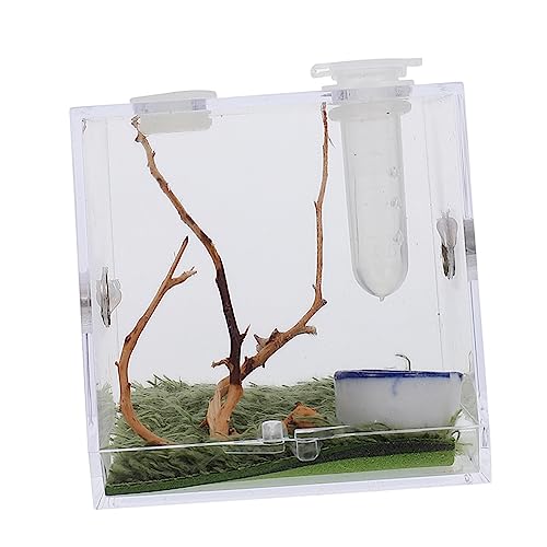Happyyami 2 Sets Springspinnen Aufzuchtbox Spinnen Habitat Koffer Kleines Aquarium Springspinne Mikro Habitat Reptilienzucht Spinnenzange Schlangenkäfig Schnecken Lebensraum Tier Happyyami 2 Sets Springspinnen Aufzuchtbox Spinnen Habitat Koffer Kleines Aquarium Springspinne Mikro Habitat Reptilienzucht Spinnenzange Schlangenkäfig Schnecken Lebensraum Tier von Happyyami
