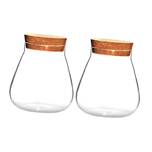 Happyyami 2 Stück Flasche aus Korkglas Verschlussglas aus Glas Hausbedarf klares Terrarium Mikro-Landschaftsflasche ökologisches Glas Kanister mit Glasverschluss Holz Brown Happyyami 2 Stück Flasche aus Korkglas Verschlussglas aus Glas Hausbedarf klares Terrarium Mikro-Landschaftsflasche ökologisches Glas Kanister mit Glasverschluss Holz Brown von Happyyami
