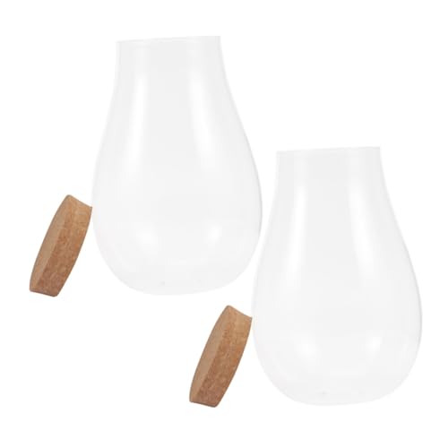 Happyyami 2 Stück Hydrokulturpflanzen drinnen innerspace offic Decor moonbyul einmachgläser ziernieten Pflanzenterrarium Landschaft Flasche leeres Terrarium Moos ökologische Flasche hölzern von Happyyami