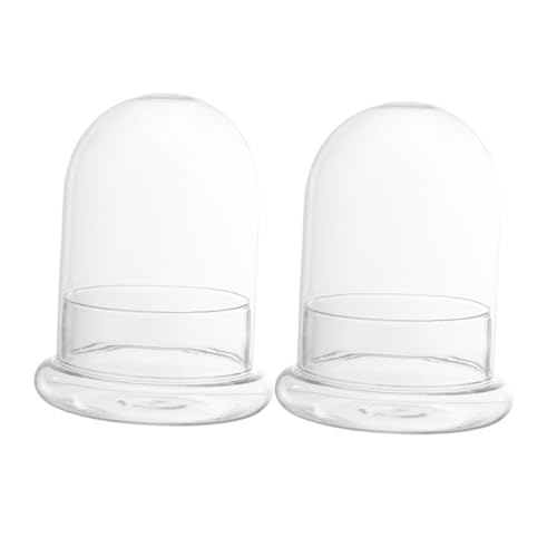 Happyyami 2 Stück Ökologische Mikrolandschaftsflasche zimmerpflanzen büro deko glasflasche Micro-Landschaft Mikro-Landschaftsbau-Container Glasterrarium mit Deckel Borosilikatglas von Happyyami