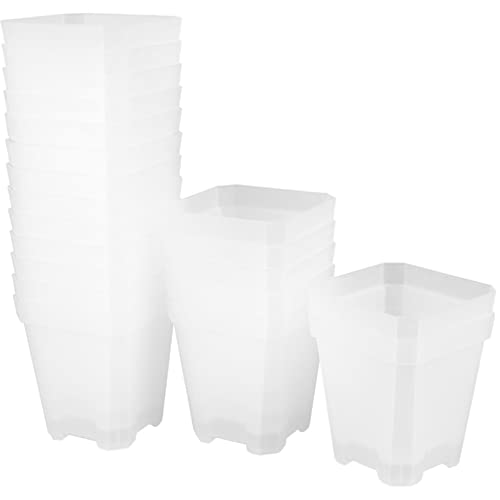 Happyyami 20stücke Transparente Pflanztöpfe Für Garten Und Pflanzenpflege Für Sukkulenten Setzlinge Und Kleine Pflanzen Langlebige Kunststoff-behälter Mit Drainagelöchern Für von Happyyami