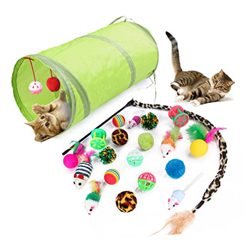 Happyyami 21stücke Teiliges Katzenspielzeug Katzenangel Und Interaktiven Spielzeugen Fördert Soziale Fähigkeiten Und Sorgt Für Stundenlangen Spielspaß Für Haustiere von Happyyami