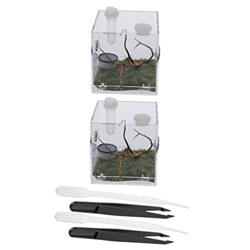 Happyyami 2Sätze Insektenlebensraum Käfig Teiliges Terrarium Für Reptilien Und Schnecken Mit Tropfpinzette Transparenter Futterbox Für Optimale Beobachtung Und Haltung Von Haustieren von Happyyami