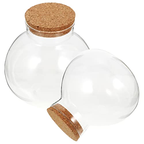 Happyyami 2St Eco-Flasche unterstützt Einmachgläser Röhren geschlossenes Terrarienglas Hausterrarium zimmerpflanzen wohnaccessoires Hausdekoration moonbyul leeres Glas Pflanzenterrarium Kork Happyyami 2St Eco-Flasche unterstützt Einmachgläser Röhren geschlossenes Terrarienglas Hausterrarium zimmerpflanzen wohnaccessoires Hausdekoration moonbyul leeres Glas Pflanzenterrarium Kork von Happyyami